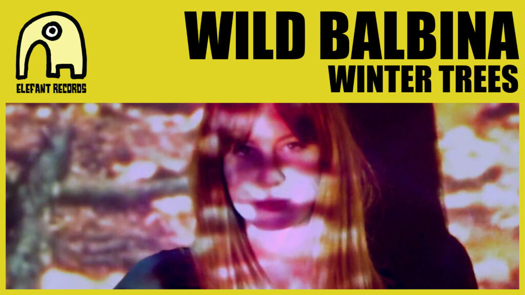 Imagen destacada de video: Winter Trees [Video-Clip]